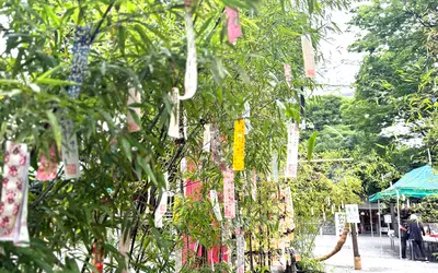 もうすぐ七夕の季節！子安神社で短冊に願いを書こう。