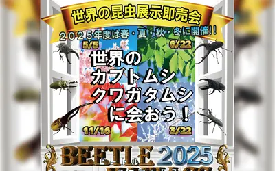 【6/22開催】“虫活”しよう！クワカブ展示即売イベント『ビートルマニアックス』へGO！