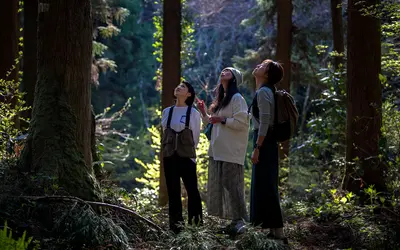 高尾にクラフトビール醸造所つきサウナ誕生！『TAKAO 36 SAUNA』7/12オープン