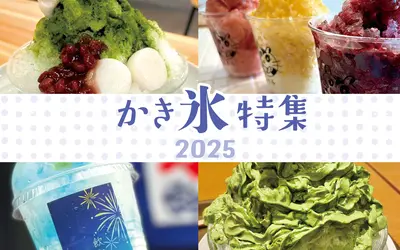 【2025年最新】暑い日はやっぱりこれ！八王子の夏を彩る絶品かき氷特集