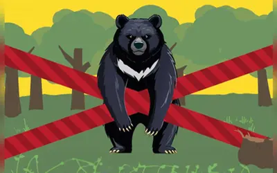 高尾以外でも油断大敵!クマとの遭遇を防ぐ“寄せない・会わない”ための基本対策