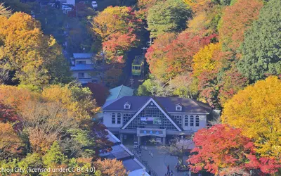 紅葉シーズン到来！高尾山もみじまつりで秋の絶景ハイキングを【12/14まで】