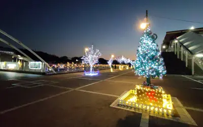 【12/20(土)】パフォーマンス＆キッチンカーも！みなみ野イルミネーションが熱い！