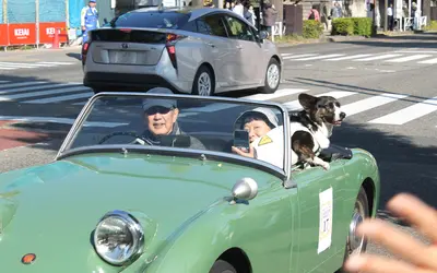 『八王子いちょう祭り』はみんなが主役！市民の笑顔あふれる2日間