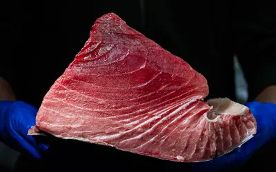 一年の締めくくりに。老舗の目利きが仕入れる、三多摩屈指の極上マグロ