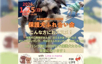 【1/25】会いに来るだけで支援になる。中野上町で『保護犬ふれ合い会』開催