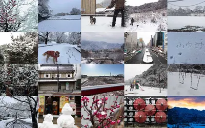 写真で巡る八王子の雪景色。フォトギャラリー2026
