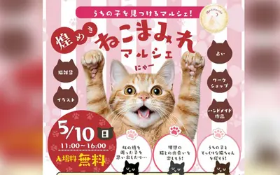 猫好き必見！70店舗が集結「ねこまみれマルシェ」八王子で開催