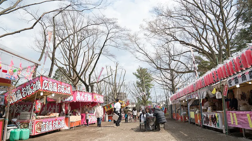 富士森公園の桜の現況報告!!