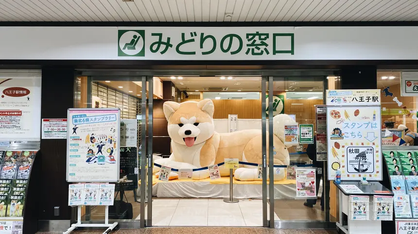 八王子駅に巨大秋田犬、現る…!?