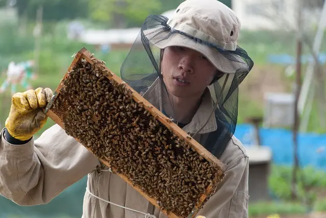 産地も生産者も八王子産の蜂蜜『アンドファームユギ』