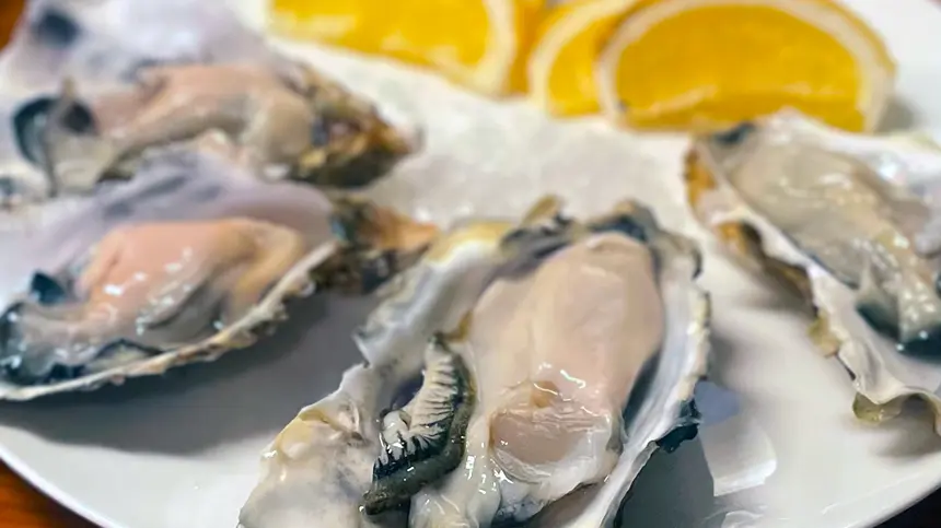 ランチ復活&夜も進化!牡蠣三昧の『一燈照隅』
