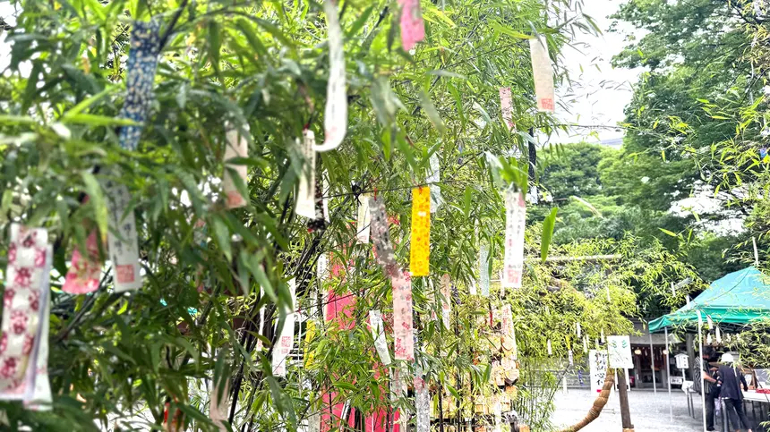 もうすぐ七夕の季節!子安神社で短冊に願いを書こう。