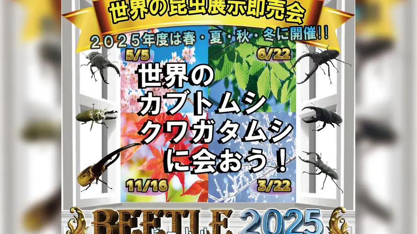【6/22開催】“虫活”しよう!クワカブ展示即売イベント『ビートルマニアックス』へGO!