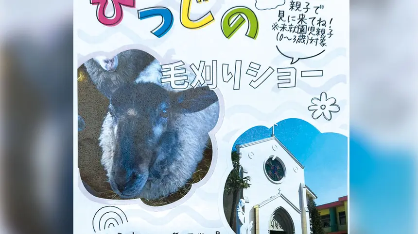 【7/2】 もこもこ羊がやってくる！本町幼稚園で『ひつじの毛刈りショー』開催