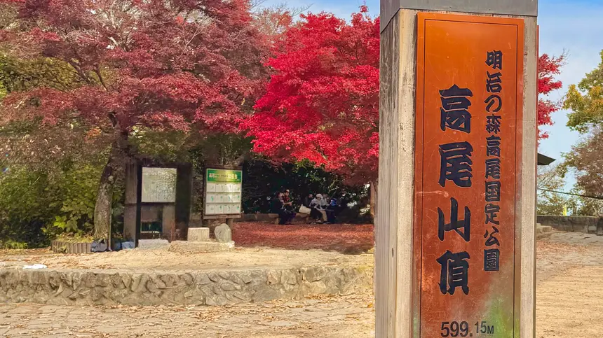 【2025最新】高尾山の紅葉、混雑は？見頃は？11月中旬の現地レポ