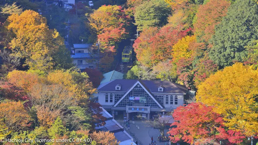 紅葉シーズン到来！高尾山もみじまつりで秋の絶景ハイキングを【12/14まで】