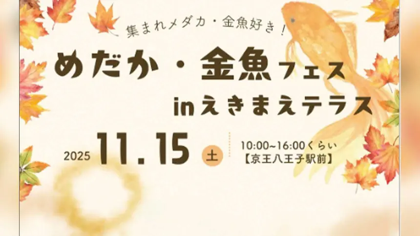 八王子の金魚すくい王を決める！『めだか・金魚フェス in えきまえテラス』開催【11/15】