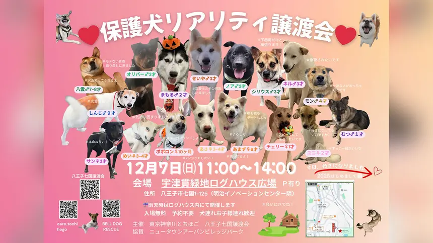 【12/7】つらい過去を生きてきた保護犬たちに、安心できる日常を。『保護犬リアリティ譲渡会』