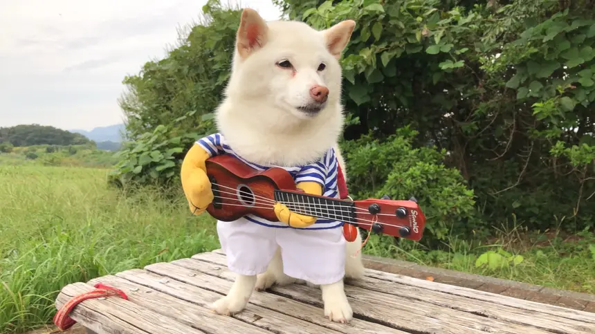 自由で元気な朝を！楽しい自由なサークル、『RTCラジオ体操クラブ』！