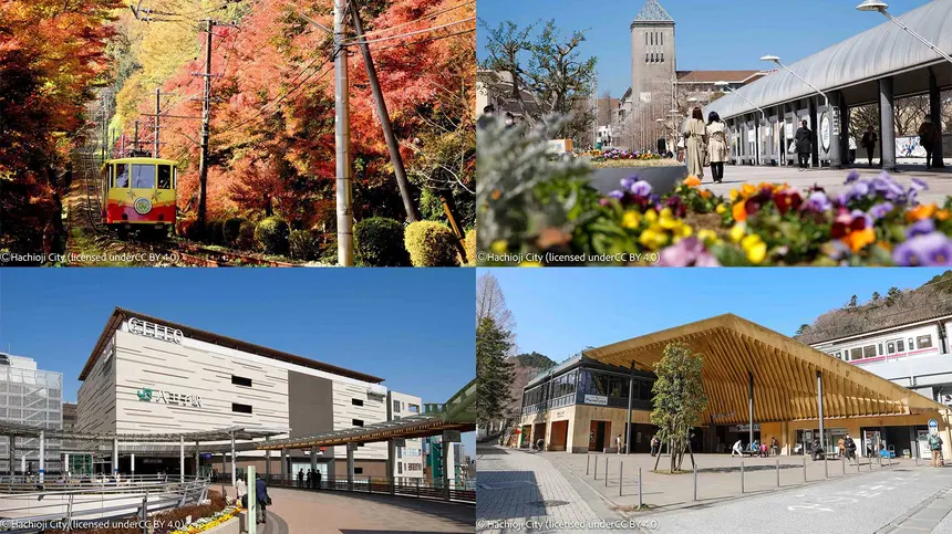 聖地・八王子が大賞候補に！『ひびめし』効果でロケ地の魅力が評価【投票12/12まで】