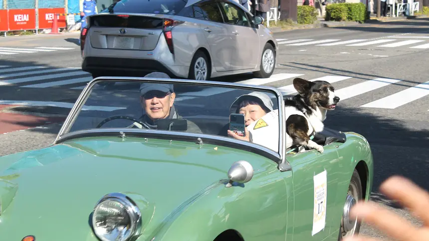 『八王子いちょう祭り』はみんなが主役！市民の笑顔あふれる2日間