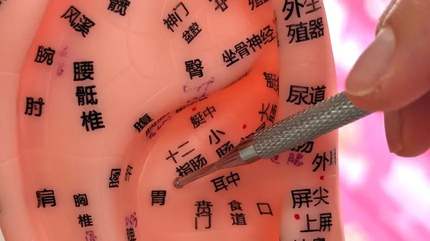 耳にこれほど多くのツボがあったとは…。かわいいだけじゃない「耳ツボジュエリー」体験｜八王子駅南口