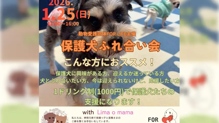 【1/25】会いに来るだけで支援になる。中野上町で『保護犬ふれ合い会』開催