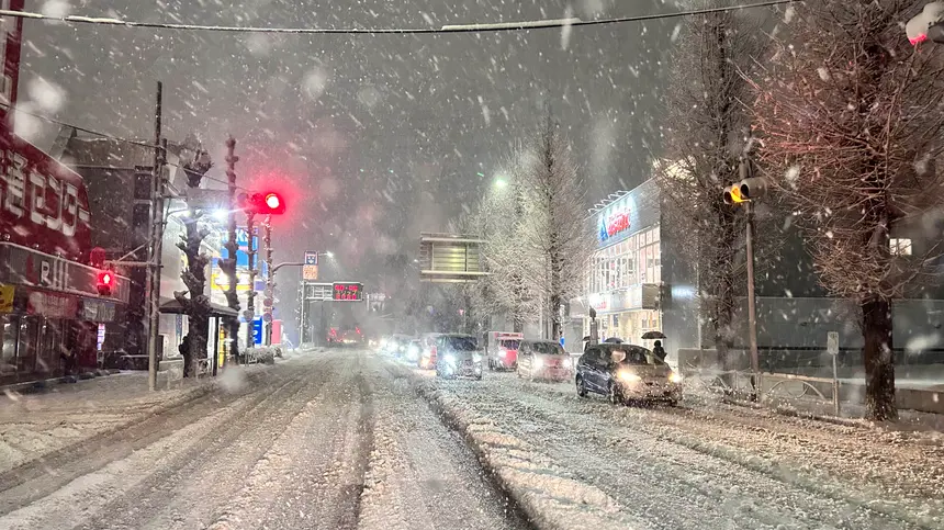 いよいよ降ってきました八王子。過去の大雪を振り返ってみました