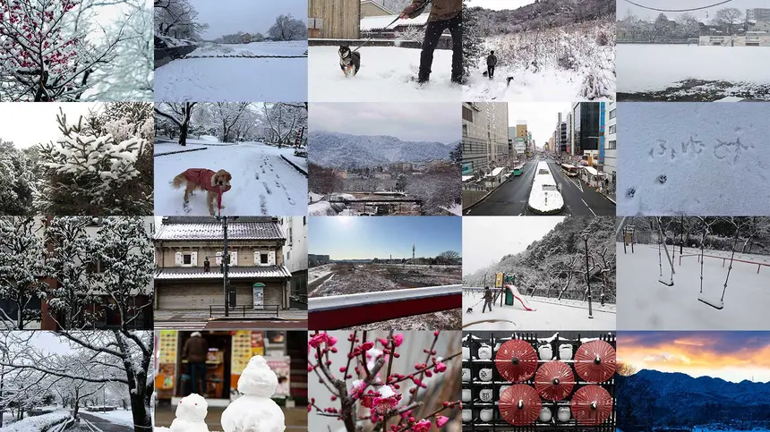 写真で巡る八王子の雪景色。フォトギャラリー2026