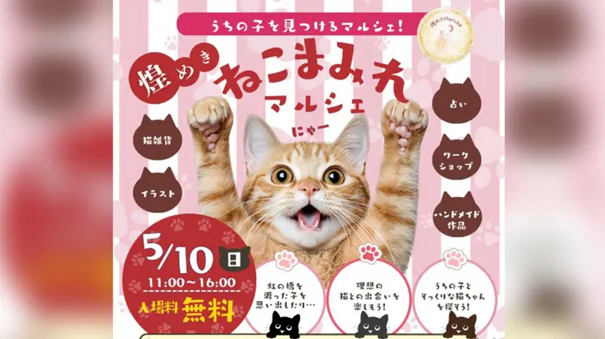 猫好き必見！70店舗が集結「ねこまみれマルシェ」八王子で開催