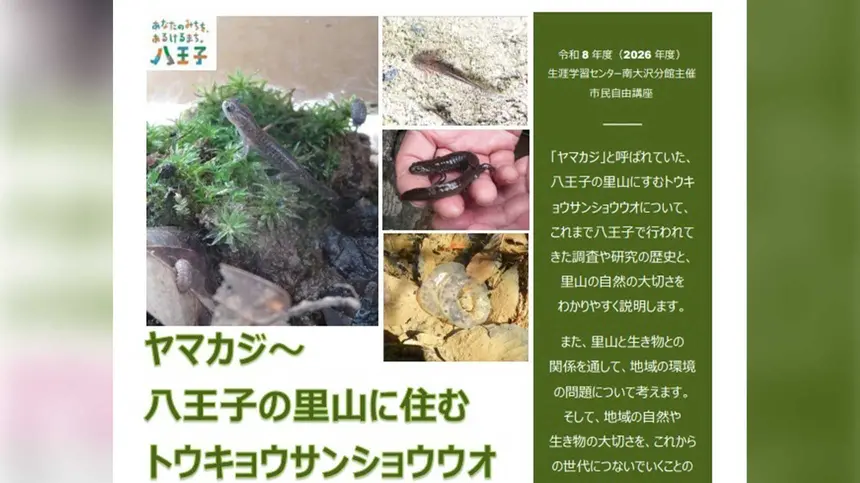 八王子の里山にすむ「ヤマカジ」って？トウキョウサンショウウオから地域の自然を学ぶ講座