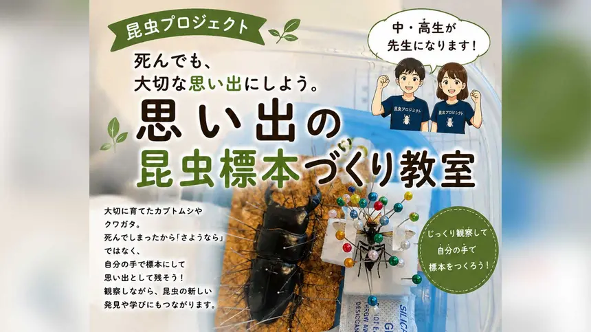 カブトムシやクワガタを思い出の標本に！中・高生が教える体験教室9/20