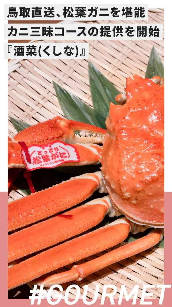 八王子で冬の味覚の王様を味わい尽くす！『酒菜』で鳥取直送松葉ガニを含めたカニ三昧コースの提供を開始。